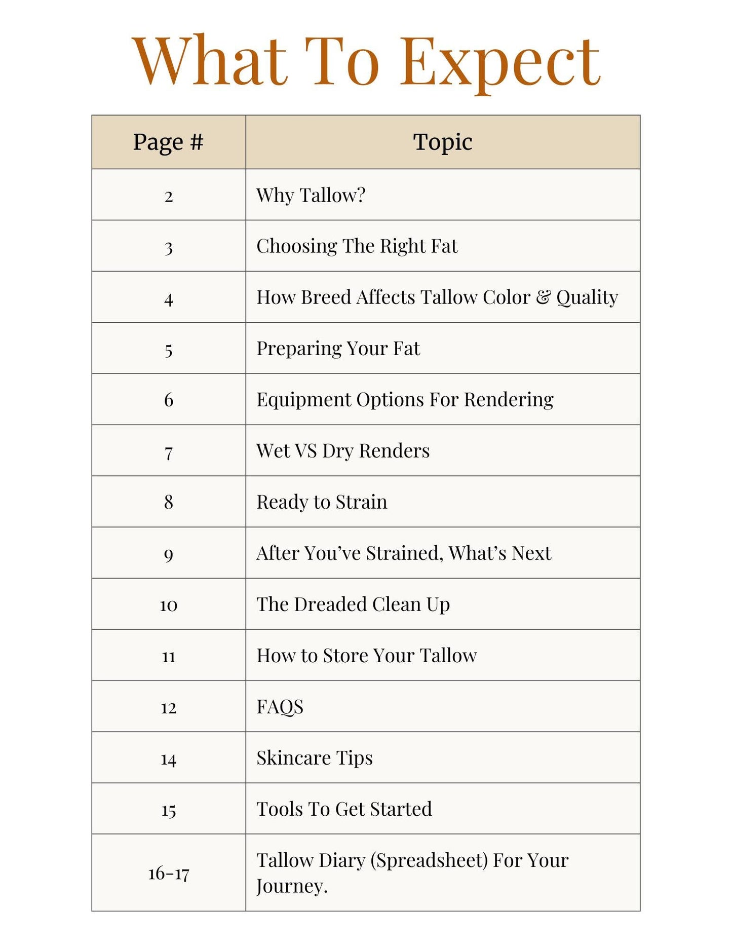 Tallow Rendering Guide For Beginers