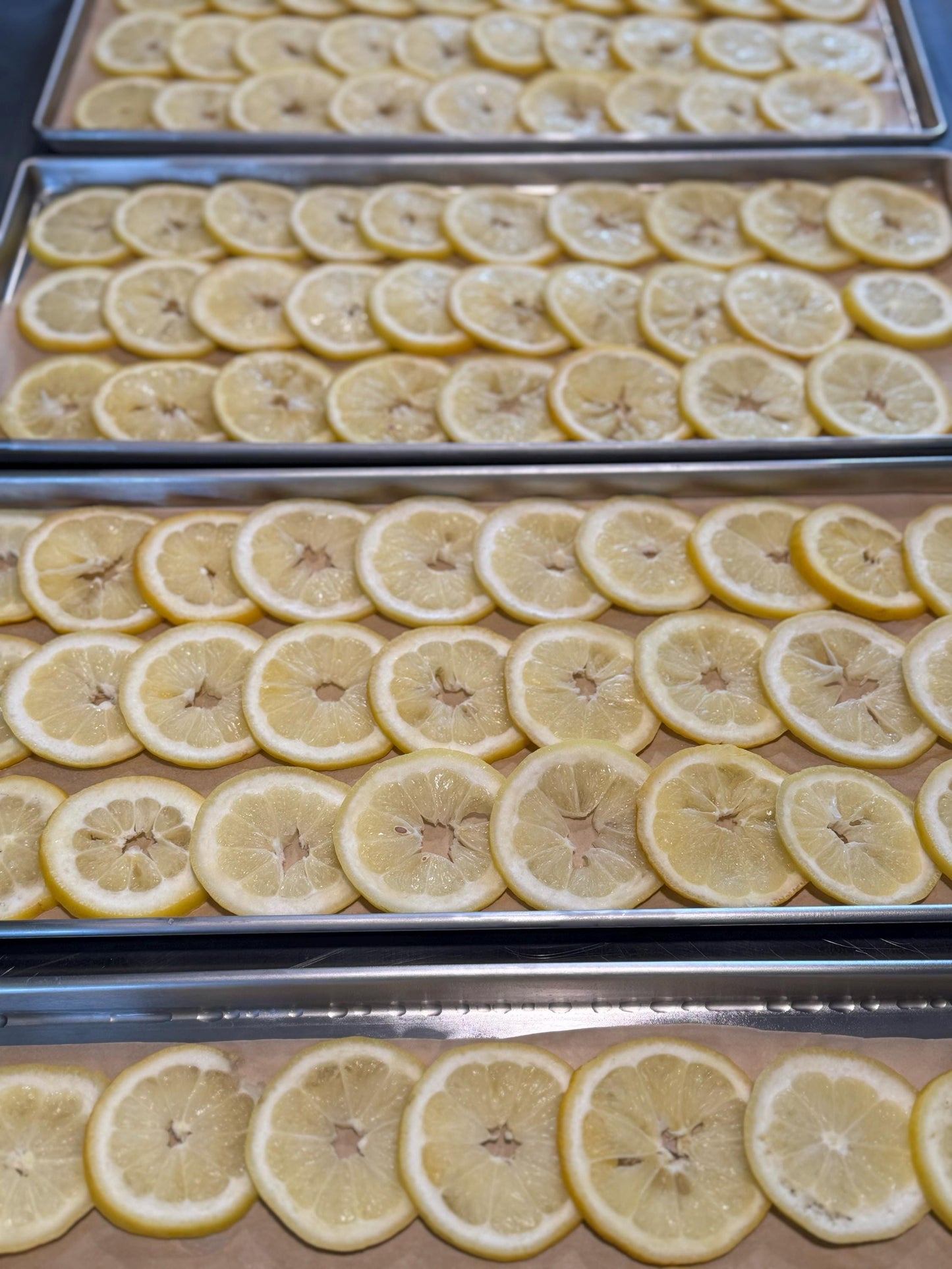 Freeze Dried Lemon Slices