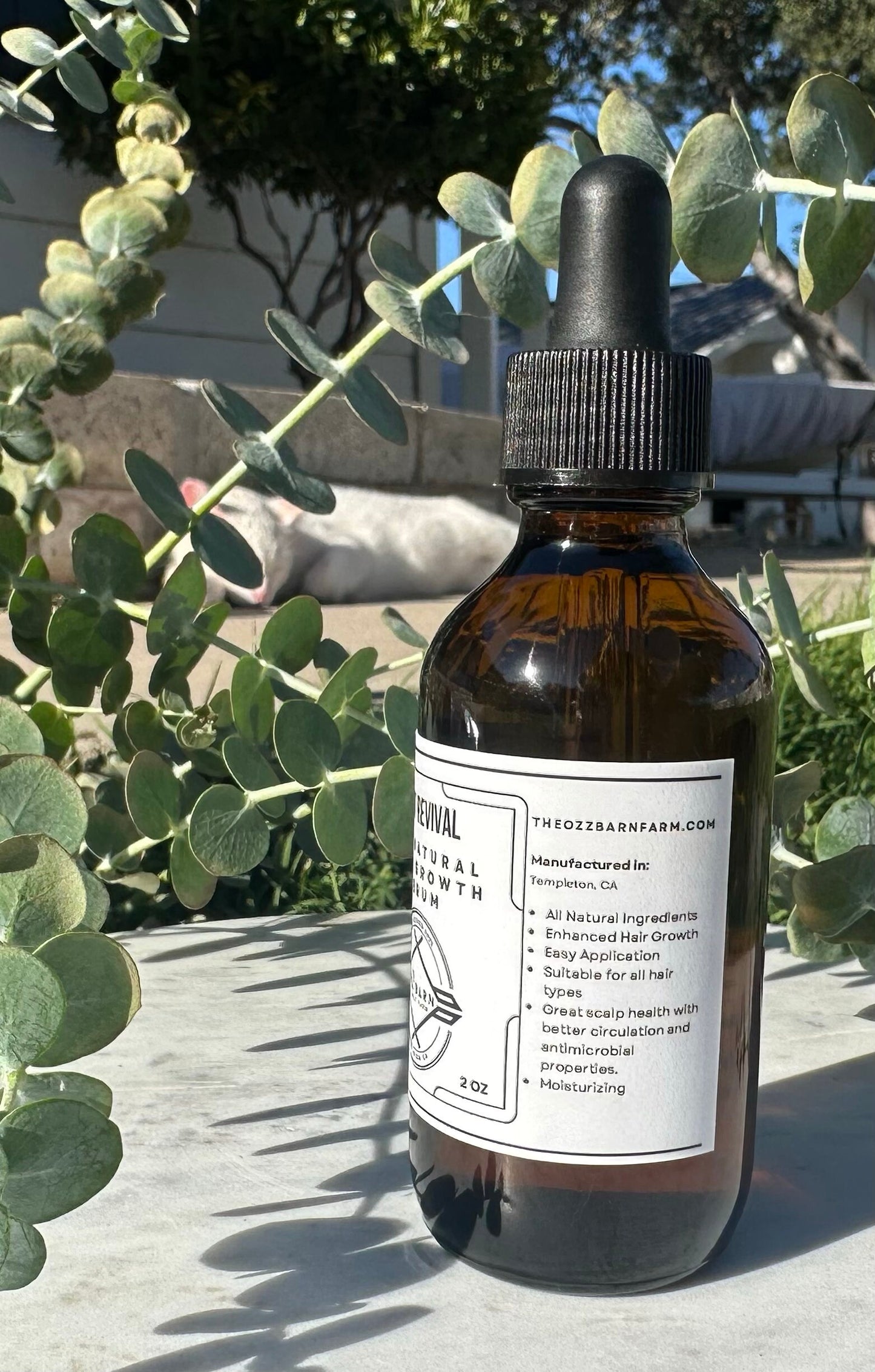 All Natural Hair Growth Serum