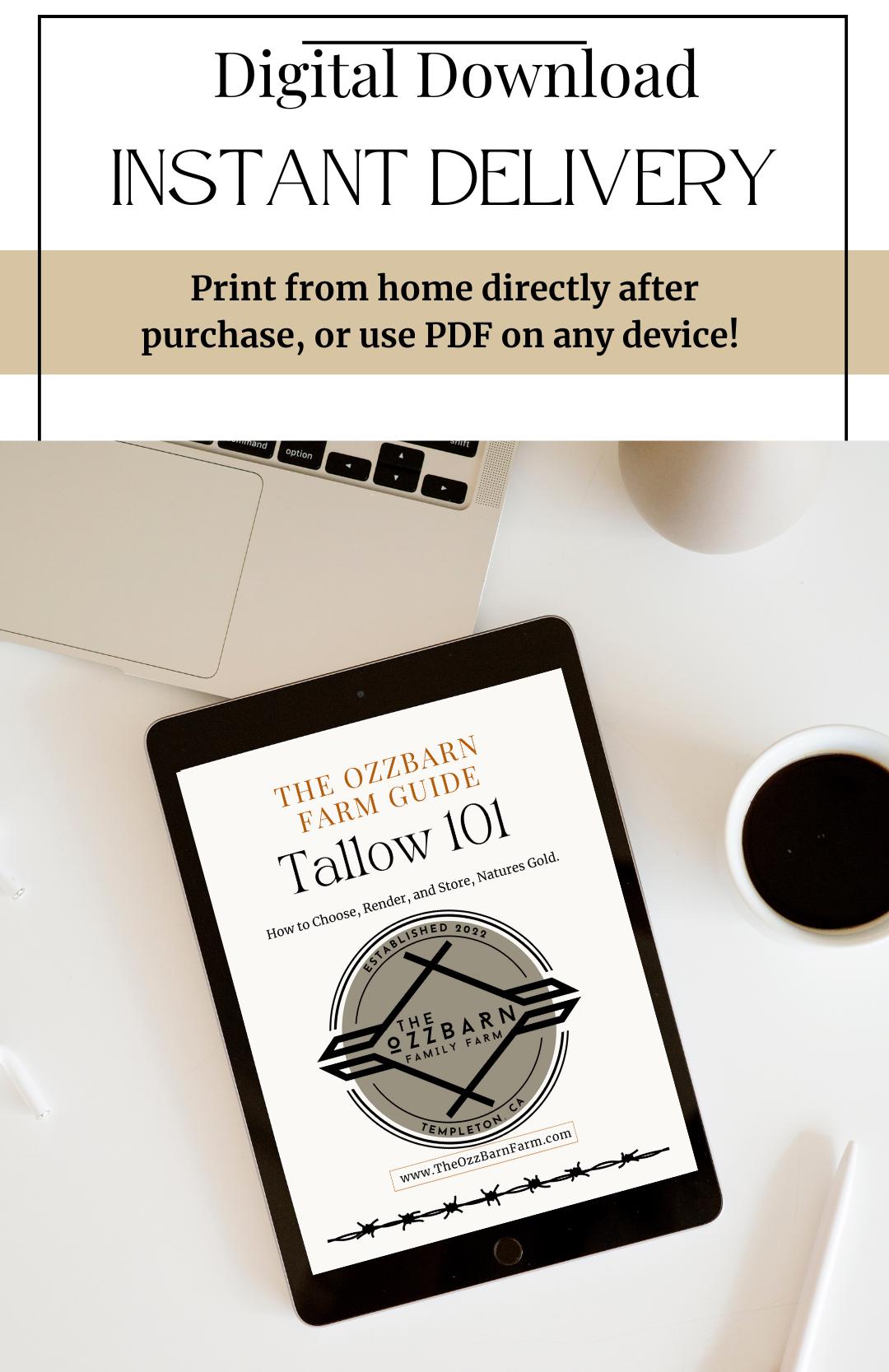Tallow Rendering Guide For Beginers
