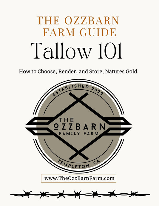 Tallow Rendering Guide For Beginers
