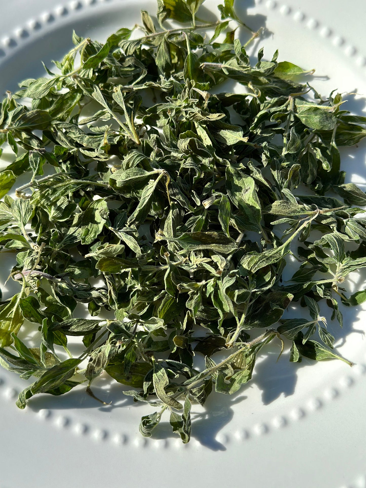 Freeze Dried Oregano